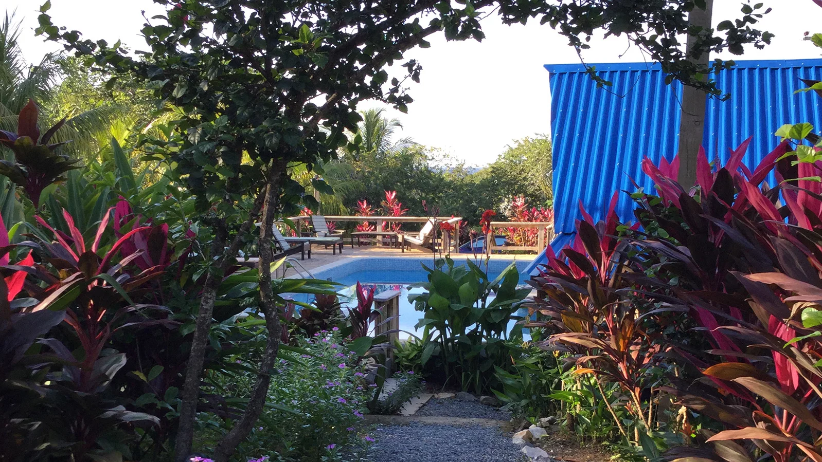https://roatan-guavagrove.com/wp-content/uploads/2016/05/guava-grove-patio.jpg