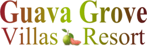 Welcome to Guava Grove Villas | Roatan Honduras.